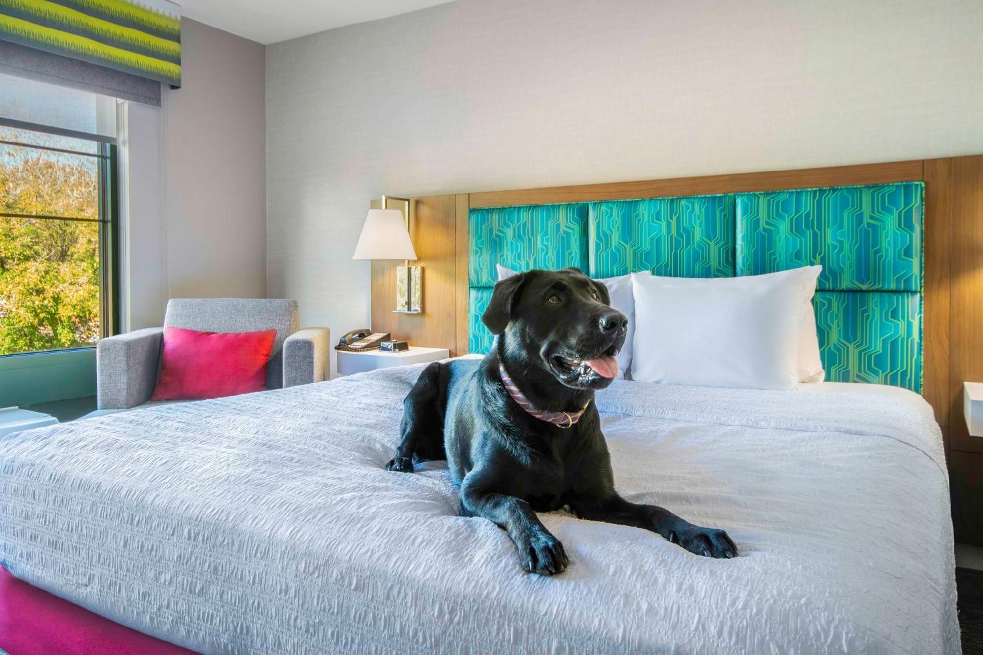 Hampton Inn East Aurora Εξωτερικό φωτογραφία